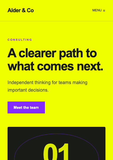 Alder & Co: brutalist consulting page