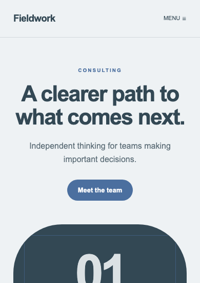 Fieldwork: soft minimal consulting page