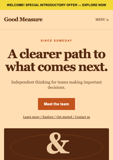 Good Measure: retro consulting page