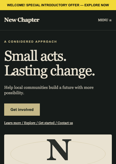 New Chapter: luxury nonprofit page