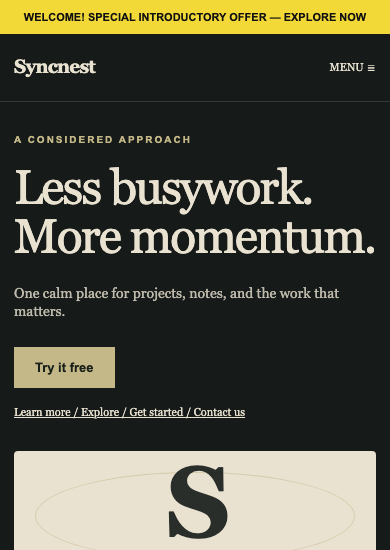Syncnest: luxury saas page
